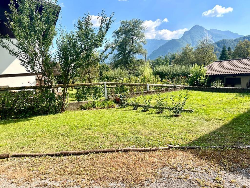 Casa Pura Διαμέρισμα Ampezzo Εξωτερικό φωτογραφία